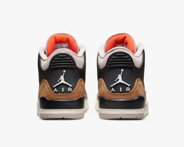 Air Jordan 3 Retro Desert Elephant Black Rush Orange Fossil Stone Sail CT8532-008