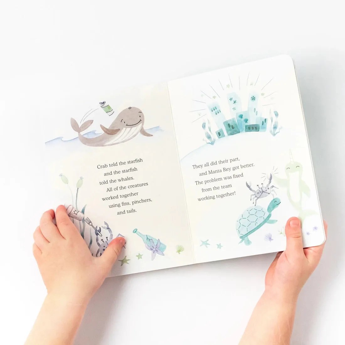 Narwhal Mini & Book Set