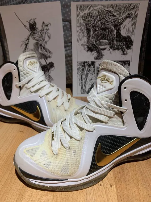 Nike LeBron 9 P.S Elite