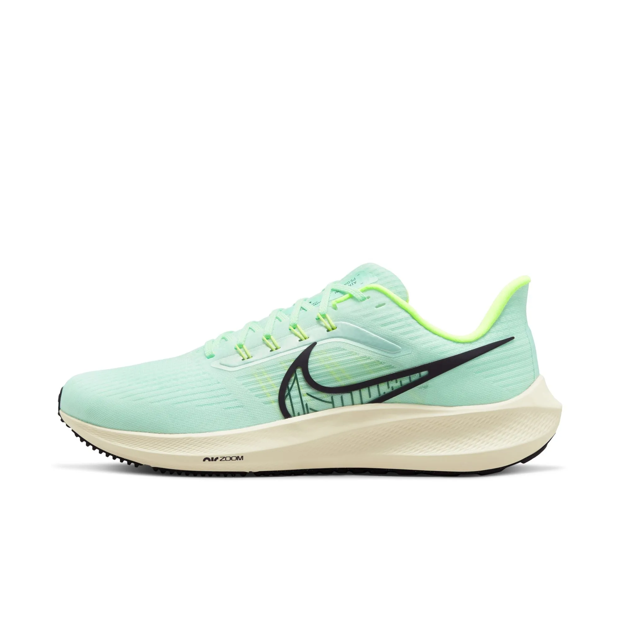 Nike Men's Pegasus 39 (SALE)