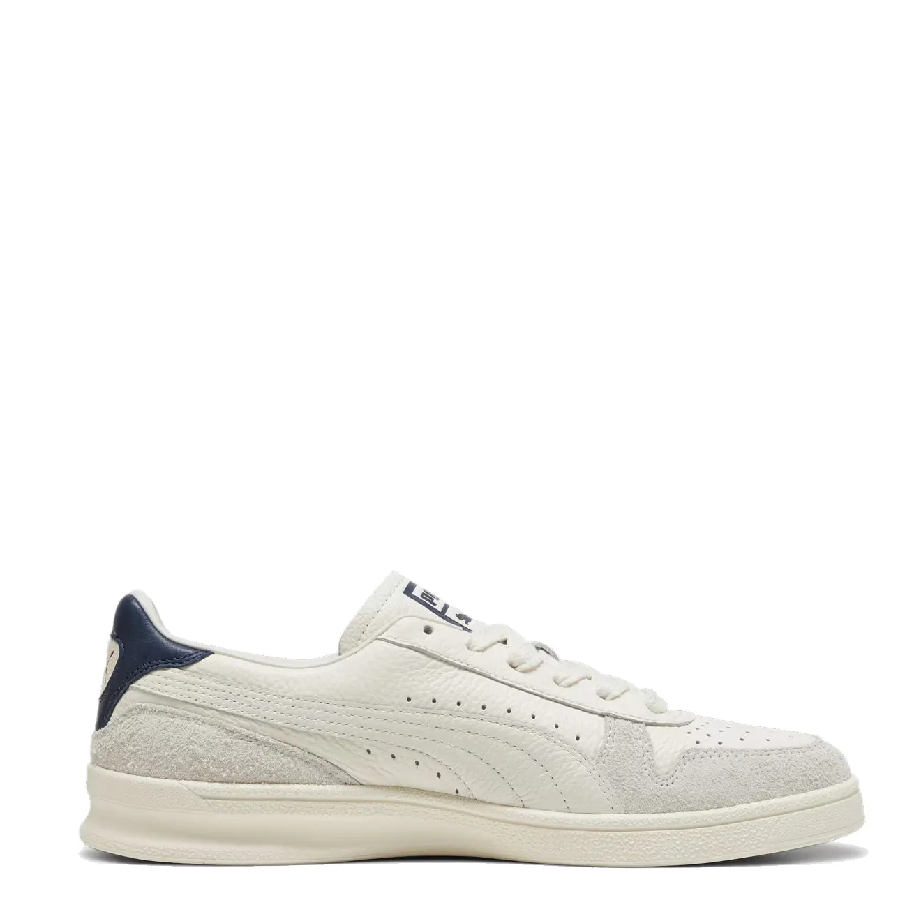 Puma Indoor Frosted Ivory / Vapor Gray