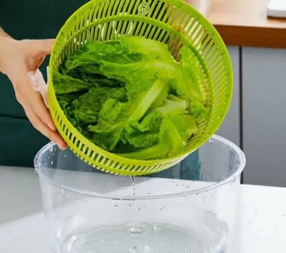 Salad Spinner 