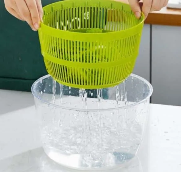 Salad Spinner 