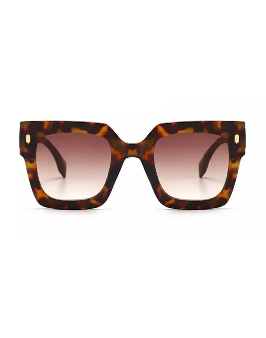 Squared Frame Big Sunglasses